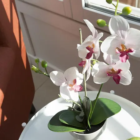 Lägenhet Singularstays Mar44