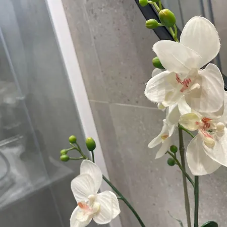 Singularstays Mar44 דירה